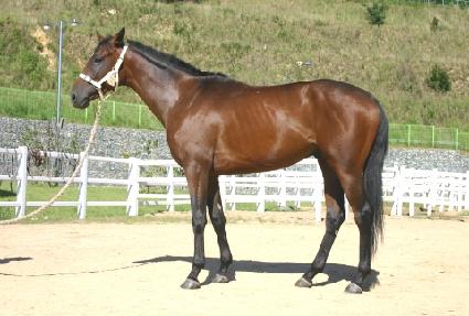 �������� ����