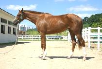 ������ (DANGHANGPO) ����