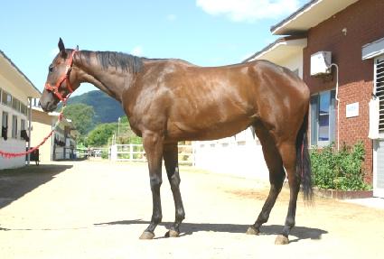 ������ ����