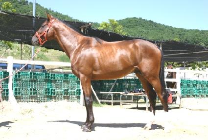 �������� ����