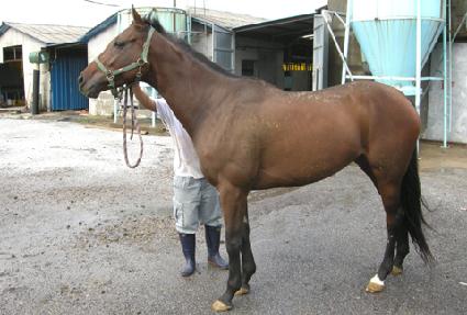 ��ġ�� ����