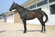 ������� (EOBUJIRI) ����