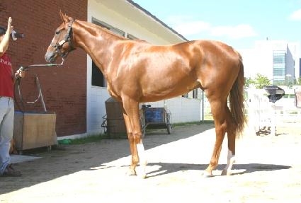 ������� ����