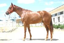 �����Ŀ� (GAYAHUYE) ����