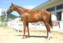 �߿�Ÿ���� (YAWATA BERG) ����