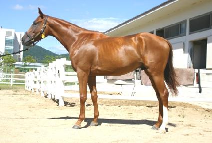 �߿�Ÿ���� ����