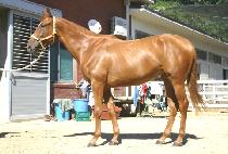 �׼��� (JUKSEORU) ����