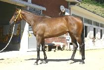 Ʈ����Ʈ (TWIST) ����