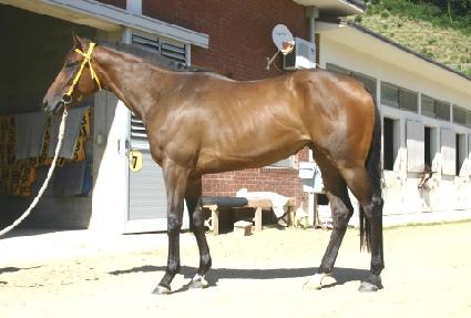 Ʈ����Ʈ ����