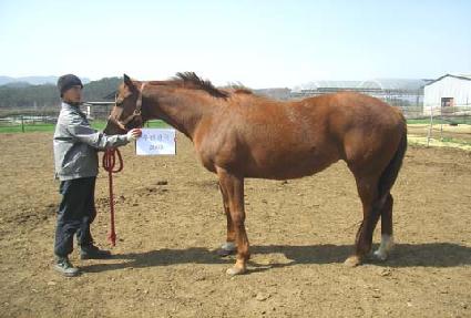 ����õ�� ����