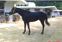 �뿪�� (DAEYEOKSA) ����