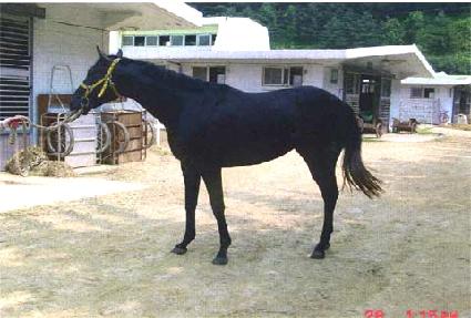 �뿪�� ����