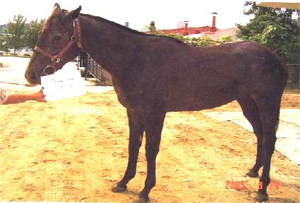 �ܵ�Ŭ���� ����