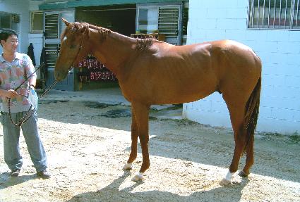 ������ ����