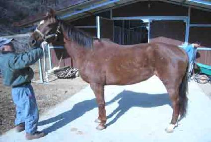 ���ֽ����� ����