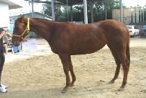 ����ƾ����Ʈ (MOUNTAIN GATE) ����