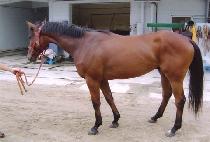 ��Ƽ���ն����� (CITY NIGHT LIFE) ����