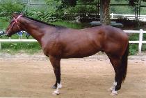 �ð���Ʈ�� (ALL GASSED UP) ����