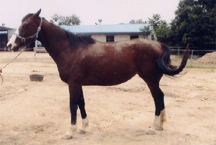 �۵𵵿�� ����