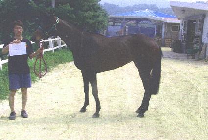 ��ī�� ����