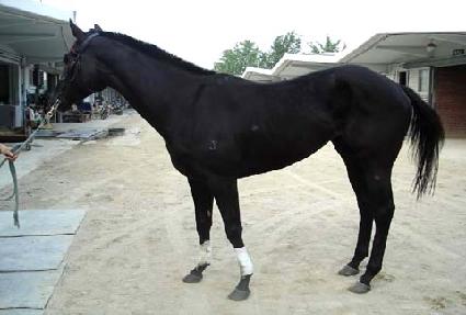 ���� ����