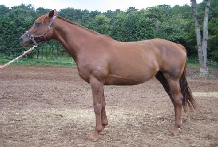 ��Ʈ ����