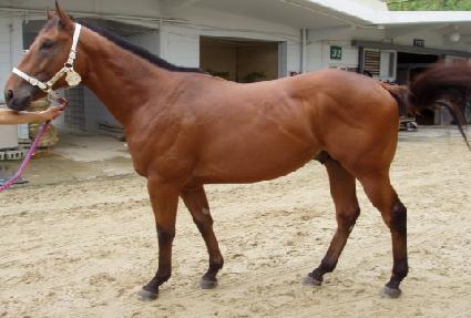 �����ȸ ����