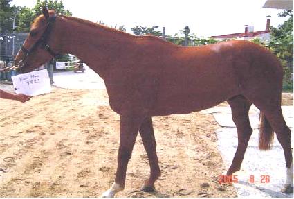 Ű���� ����