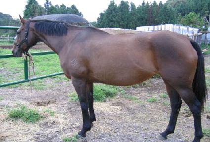 �۴Ϻ� ����