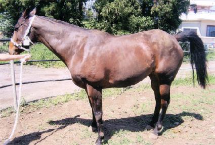 �̽����Ŀ ����