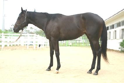 ���۰��� ����