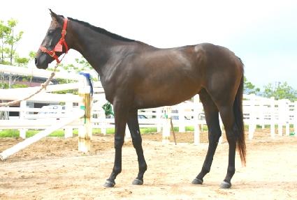 ���α� ����