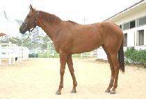 �����ְ� (WANJEON CHOEGO) ����