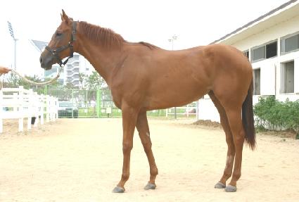 �����ְ� ����