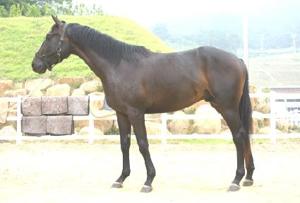 �Ļ���� ����