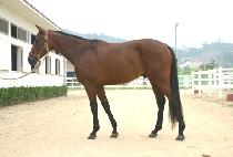 ��ǥ�� (DAEPYOJAK) ����