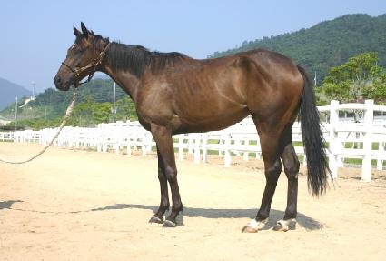 �������� ����