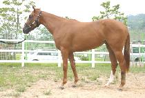 SMOOTH HALO ����