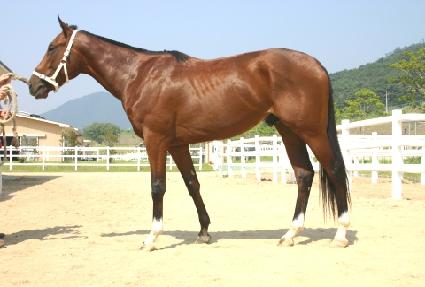 ���̽þܹ� ����