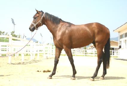 �ʰ�� ����