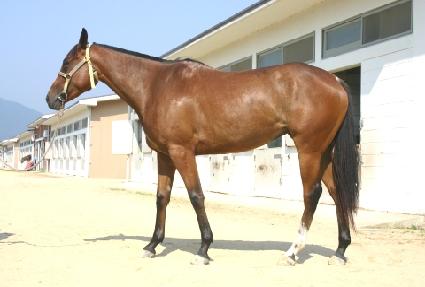 ��Ű������ ����