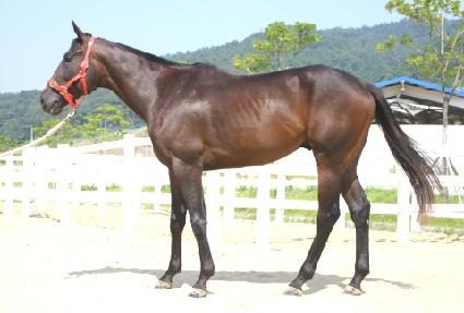 �ż��� ����