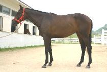 ���ݻ� (MAGEUMSAN) ����