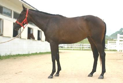 ���ݻ� ����