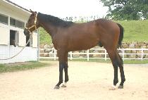 �����κ����̼� (WINTER INVITATION) ����