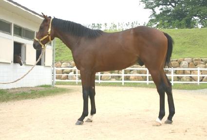 �����κ����̼� ����