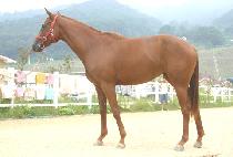 ��Ȳ (YEOHWANG) ����