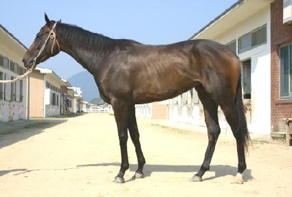 �ִ�������� ����