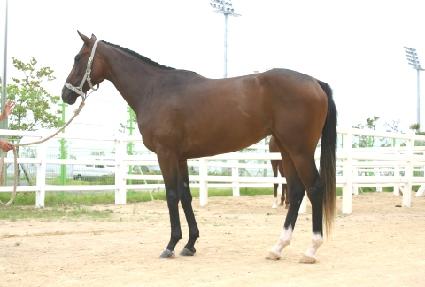 ������ ����