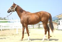 �÷����Ű���� (COLUMBIAN KISSES) ����